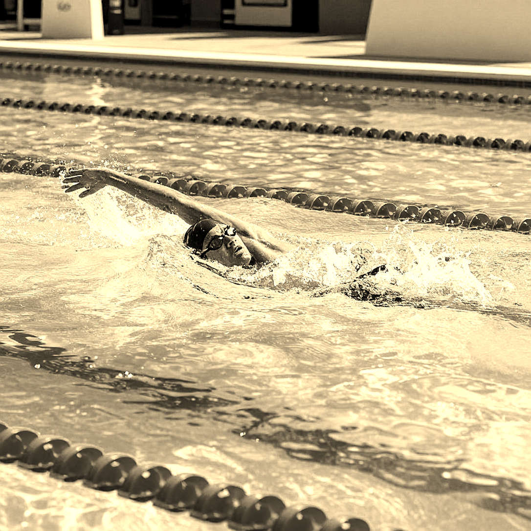 Sharks Swim Club Seeks Director of Development: 250 Young Athletes Await a Patient Hand Sharks Swim Club Seeks Director of Development: 250 Young Athletes Await a Patient Hand