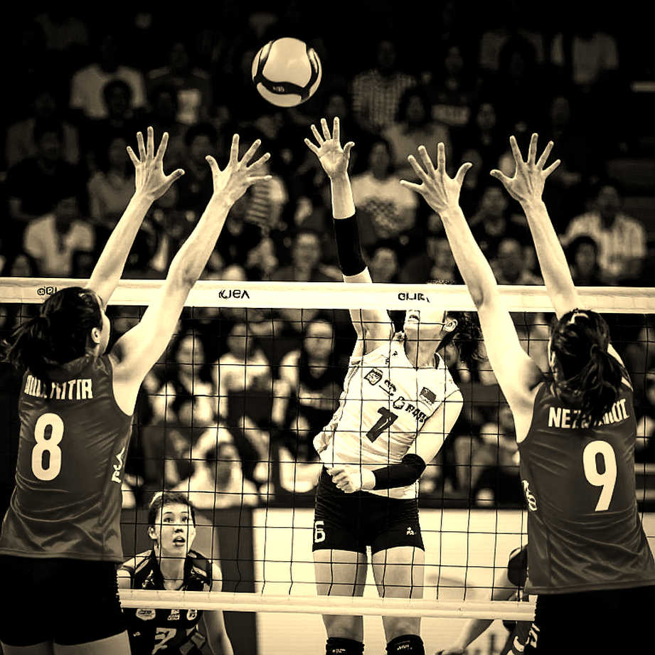 Vietnamese Volleyball's Transfer Market: A Race Without a Price Tag Vietnamese Volleyball's Transfer Market: A Race Without a Price Tag