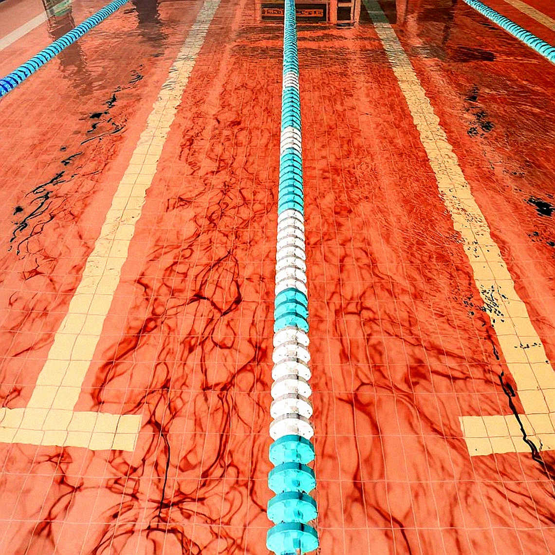 Yehor Maistruk – Promising Breaststroke Talent Joins Kenyon College: In-Depth Data Analysis