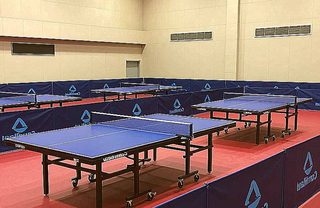 Bóng bàn Việt Nam: quả bóng thứ ba và cái giá của những điểm 9-9 Bóng bàn Việt Nam: quả bóng thứ ba và cái giá của những điểm 9-9