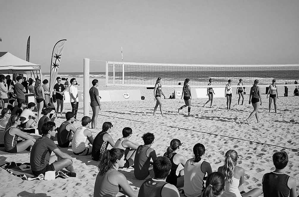 Bóng chuyền Việt Nam giữa mùa chuyển nhượng: đọc điều khoản, đừng đọc tin đồn Bóng chuyền Việt Nam giữa mùa chuyển nhượng: đọc điều khoản, đừng đọc tin đồn